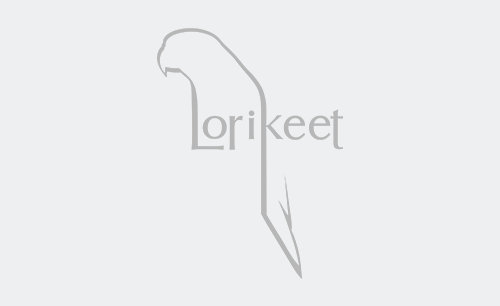 لاریکیت